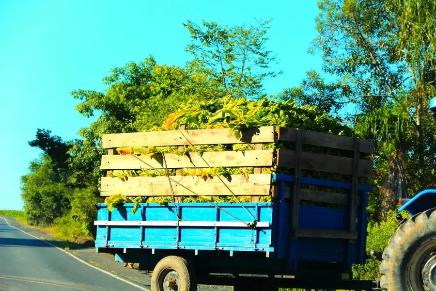 Experienced Hauling Service Boise, ID Experienced Hauling Service Boise, ID